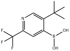 5-(tert-butyl)-2-trifluoromethylpyridine-4-boronic acid Structure