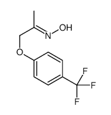 N-[1-[4-(trifluoromethyl)phenoxy]propan-2-ylidene]hydroxylamine结构式