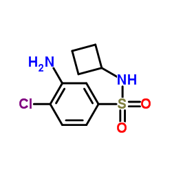 3-Amino-4-chloro-N-cyclobutylbenzenesulfonamide Structure