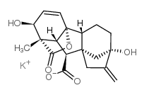 赤霉酸 钾盐结构式