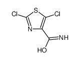 2,5-dichloro-1,3-thiazole-4-carboxamide Structure