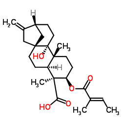 3α-Tigloyloxypterokaurene L3 Structure