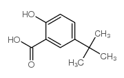 2-羟基-5-叔丁基苯甲酸结构式