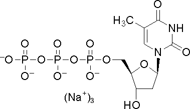 2'-脱氧胸苷-5'-三磷酸三钠,二水结构式