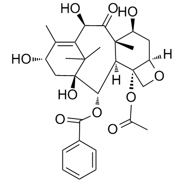 10-Deacetylbaccatin III picture