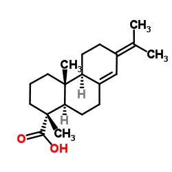 新松脂酸结构式