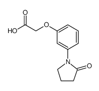 Acetic acid, 2-[3-(2-oxo-1-pyrrolidinyl)phenoxy] Structure