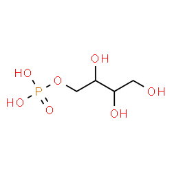 cholecystokinin (27-32) amide, benzoyloxycarbonyl-结构式