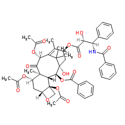 ACETYLTAXOL, 7-(P) structure