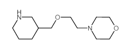 4-[2-(3-哌啶基甲氧基)乙基]吗啉结构式