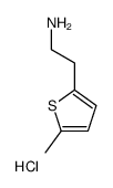 2-(5-甲基-2-噻吩基)乙胺盐酸盐图片