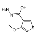 4-甲氧基噻吩-3-羧肼结构式