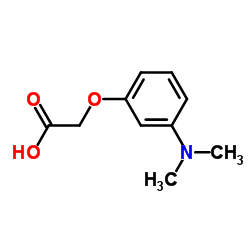 [3-(Dimethylamino)phenoxy]acetic acid Structure
