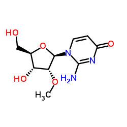 2'-O-Methyl isocytidine structure