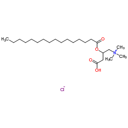 L-Palmitoylcarnitine chloride picture