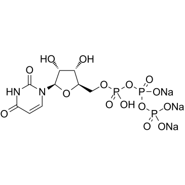 Uridine-5'-triphosphoric acid trisodium salt picture