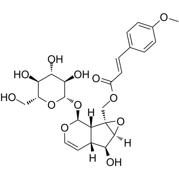 10-O-trans-p-methoxycinnamoyl-catalpol picture