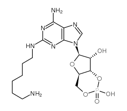 2-(6-aminohexyl) aminoadenosine-3',5'-cyclic monophosphate结构式