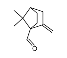 7,7-dimethyl-2-methylenebicyclo[2.2.1]heptane-1-carbaldehyde Structure