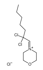 4-(2,2-dichloroheptylidene)morpholin-4-ium chloride Structure