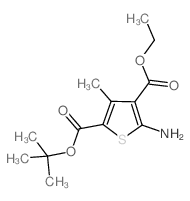 2-叔丁基4-乙基5-氨基-3-甲基噻吩-2,4-二羧酸酯结构式