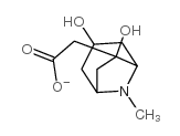 6-乙酰氧基托品结构式