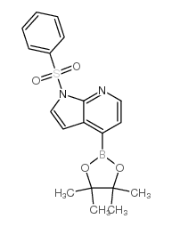 1-(benzenesulfonyl)-4-(4,4,5,5-tetramethyl-1,3,2-dioxaborolan-2-yl)pyrrolo[2,3-b]pyridine Structure