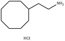 2-Cyclooctyl-ethylamine hydrochloride结构式