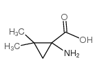 1-氨基-2,2-二甲基环丙烷羧酸结构式