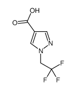 1-(2,2,2-三氟乙基)-1H-吡唑-4-羧酸结构式