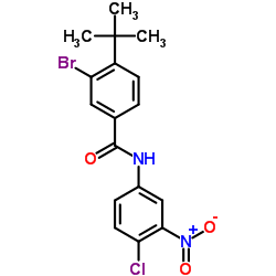3-Bromo-N-(4-chloro-3-nitrophenyl)-4-(2-methyl-2-propanyl)benzamide Structure