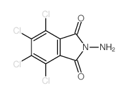 2-amino-4,5,6,7-tetrachloro-isoindole-1,3-dione Structure
