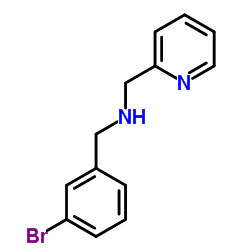 1-(3-BROMOPHENYL)-N-(PYRIDIN-2-YLMETHYL)METHANAMINE Structure