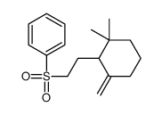 2-(2,2-dimethyl-6-methylidenecyclohexyl)ethylsulfonylbenzene Structure