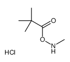 methylamino 2,2-dimethylpropanoate,hydrochloride Structure