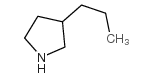 3-propylpyrrolidine Structure