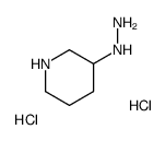 1-(哌啶-3-基)肼双盐酸盐结构式