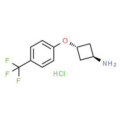 cyclobutanamine, 3-(4-trifluoromethylphenoxy)-, hydrochloride (1:1), trans- Structure