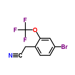4-溴-2-(三氟甲氧基)苯乙腈结构式