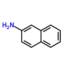 Naphthalen-2-amine Structure