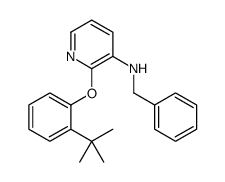 N-benzyl-2-(2-tert-butylphenoxy)pyridin-3-amine Structure
