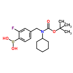 (4-(((tert-butoxycarbonyl)(cyclohexyl)amino)Methyl)-2-fluorophenyl)boronic acid Structure