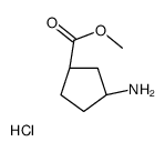 (1R,3S)-甲基3-氨基环戊烷羧酸酯盐酸盐结构式