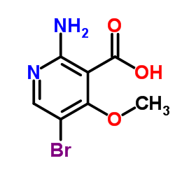 2-Amino-5-bromo-4-methoxynicotinic acid Structure
