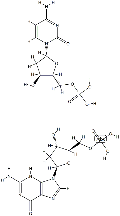 poly(dC-dG) Structure