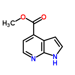 7-氮杂吲哚-4-甲酸甲酯图片
