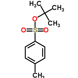 2-Methyl-2-propanyl 4-methylbenzenesulfonate Structure