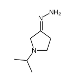(1-propan-2-ylpyrrolidin-3-ylidene)hydrazine Structure