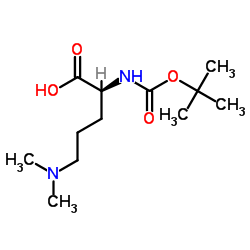 (S)-2-[(叔丁氧羰基)氨基]-5-(二甲基氨基)戊酸图片