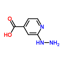 2-肼基烟酸结构式